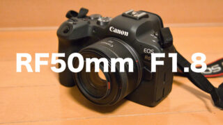 Canon RF50mm F1.8 STM レビュー！作例も紹介