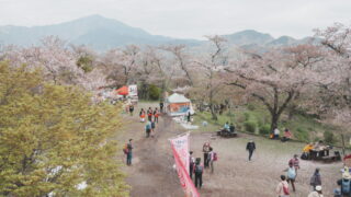 【弘法山】春の桜が見所！コースやアクセス・実際に登った様子を紹介【山とカメラ Vol.8】